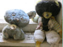 Ukraine, Tschernobyl, Kindergarten