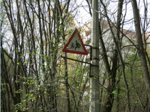 Ukraine, Prypjat, Weg Schule -> Stadion