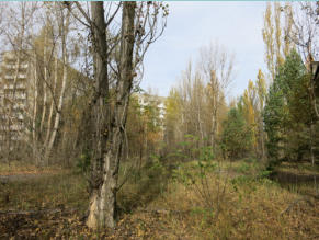 Ukraine, Prypjat, Weg Schule -> Stadion