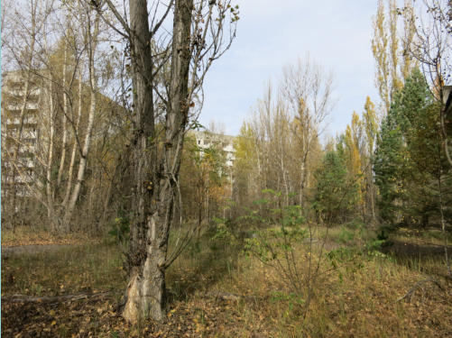 Ukraine, Prypjat, Spielfeld