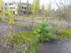 Ukraine, Prypjat, Stadtkern